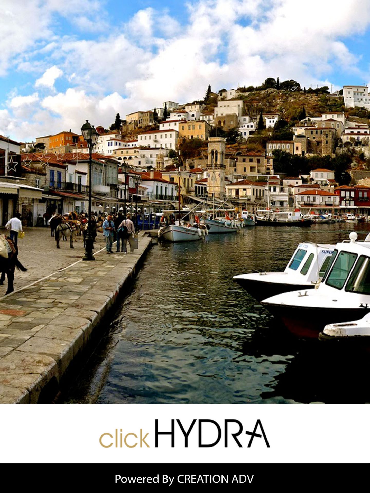 splash1536x2048_132hydra